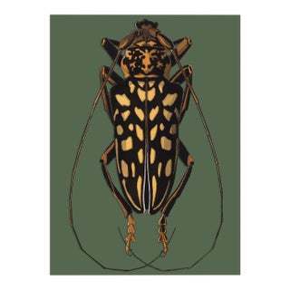 Bugs by Seguy #15 For Sale