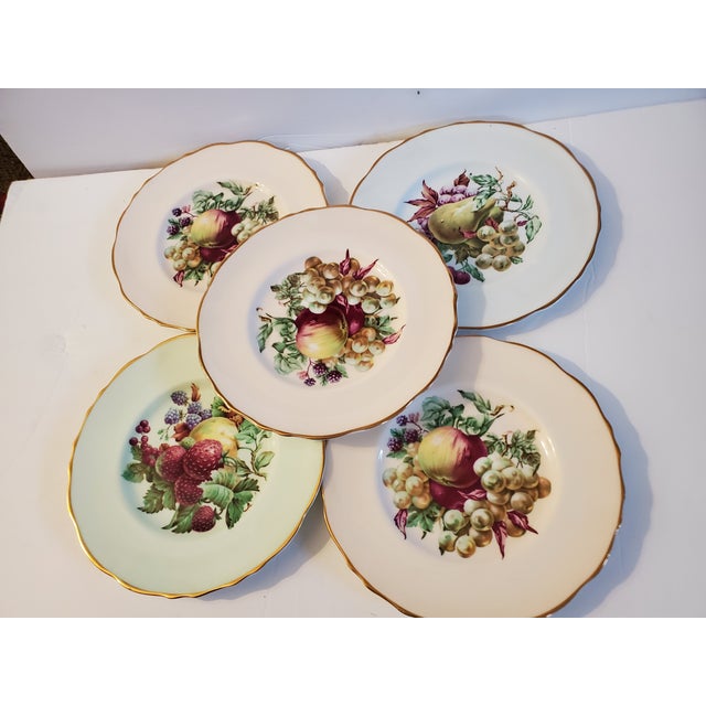 Vintage Fruit Plates by Regency of England Set of 5 Chairish