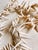 1980s Vintage Costal Sea Shell Garland Table Decor or Holiday Decor For Sale - Image 5 of 9