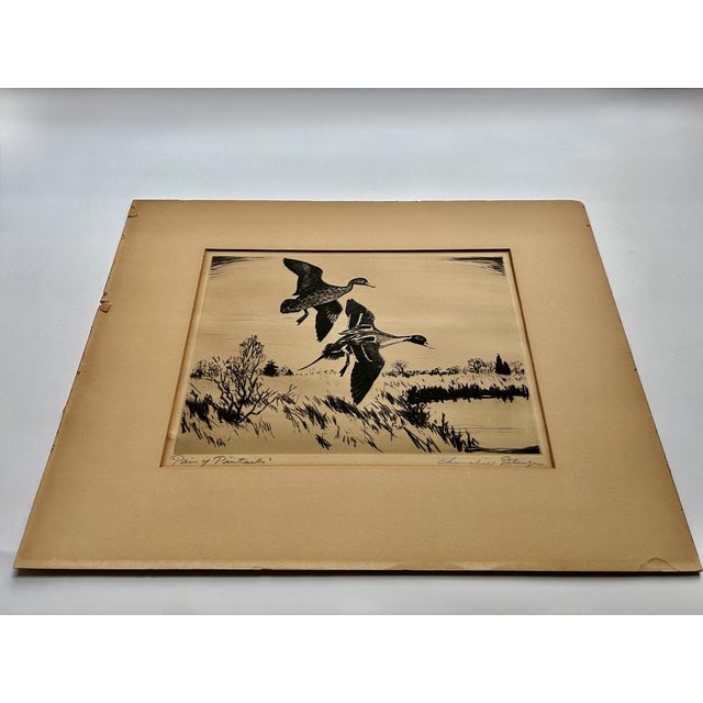 Mid-Century Modern Churchill Ettinger "Pair of Pintails" Black & White Drypoint Etching, 1942 For Sale - Image 3 of 12