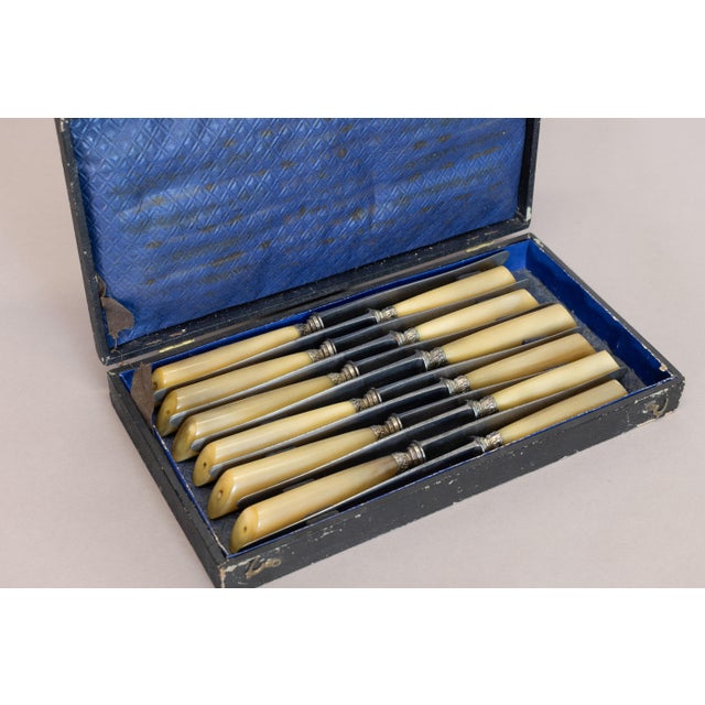 Boxed set of French dinner knives with bone handles. Circa 1900.