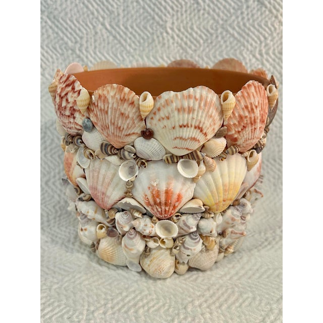 Contemporary Coastal Grotto Palm Beach Shell Encrusted Planter For Sale - Image 4 of 9