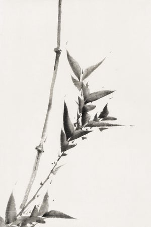 Hokusai Bamboo Study, Vintage Japanese Art Print, 16" X 24"
