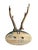 Roe Deer Trophy 133 Black Foret Antlers For Sale - Image 4 of 5