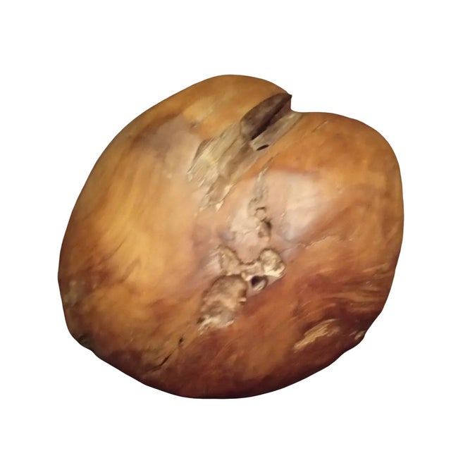 Made of teak, this bowl can be used inside and out and measures 16 inches wide by 7 inches high.