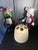 Vintage Dedalo Umbrella Stand by Emma Gismondi Schweinberger for Artemide, 1966 For Sale - Image 6 of 18