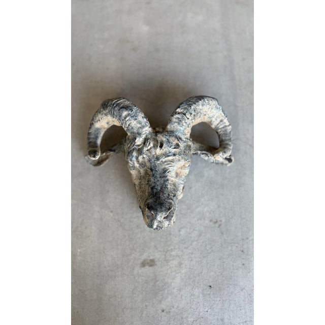 19th Century Antique Ram's Head From South of France For Sale - Image 5 of 10