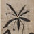 Pétale Drawing by Afsoon Thayer For Sale In Los Angeles - Image 6 of 10