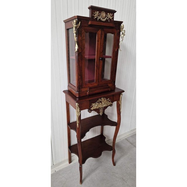 Antique Display Case with Bronze Elements For Sale - Image 10 of 10