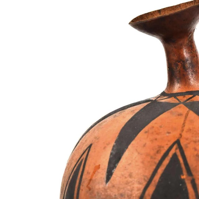 The calabash, also known as the bottle gourd, holds a remarkable historical significance, marking human migration across...
