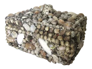 Mid 19th Century Sailor Made Shell Box, Provenance Captain Pennimann - Whaling Voyage
