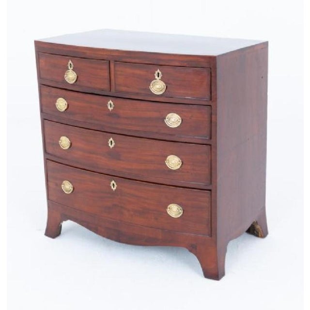 Regency Chest of Drawers in Mahogany with Bow Front, 1810 For Sale - Image 6 of 6