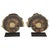 Pair of Mounted Pyritized Ammonites A striking pair of fossilized ammonites, each cut and polished to reveal the intricate...