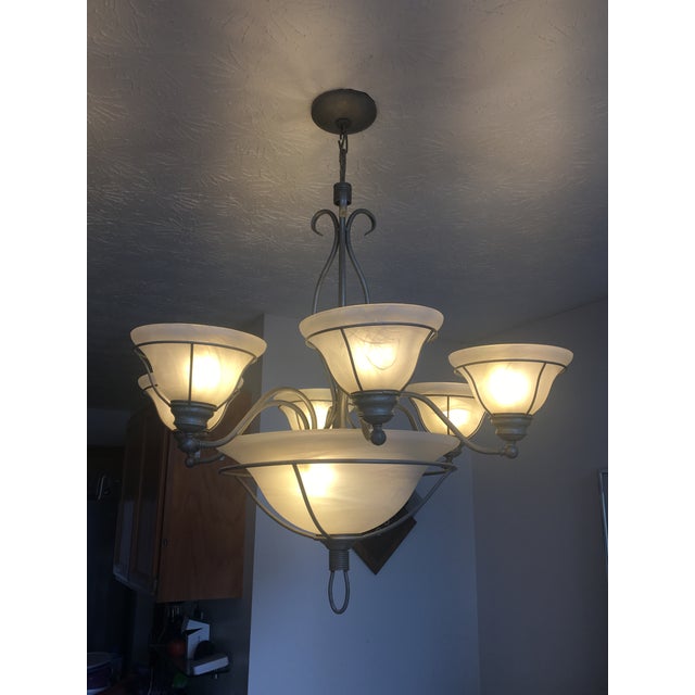 Traditional Metal & Glass Cup Chandelier Chairish