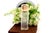 Perfume Bottle in Glass and 15K Gold For Sale - Image 6 of 6