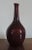Ceramic 19th Century Chinese Sang de Boeuf Oxblood Flambe Glazed Bottle Shaped Porcelain Vase For Sale - Image 7 of 9