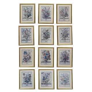 Twelve Months of Flowers Framed Prints - Set of 12 For Sale