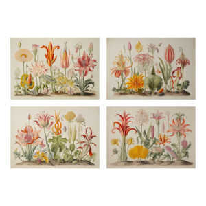 Set of 4 - 18' X 12.5' Botanical Prints 'Hortus Floridus' Style Flowers #14, Unframed