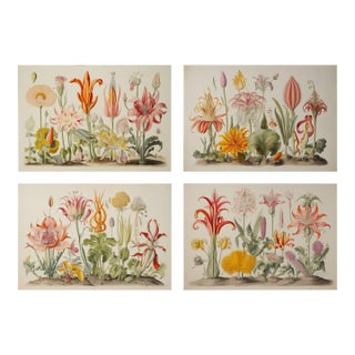 Set of 4 Botanical Prints — Hortus Floridus Style Flowers, Unframed For Sale