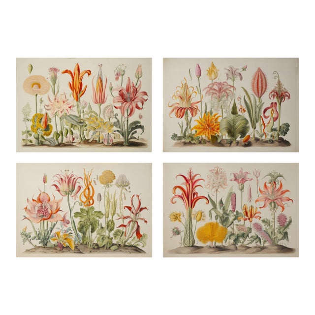 Set of 4 Botanical Prints — Hortus Floridus Style Flowers, Unframed For Sale