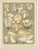 A set of six antique mycology prints depicting various fungi / mushrooms. These prints originate from 'Flore mycologique...