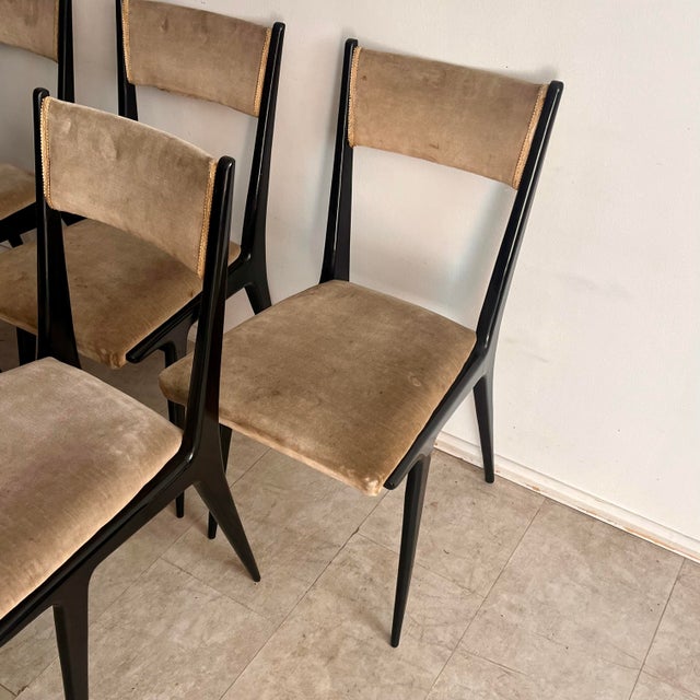 Wood Dining Chairs in Black Lacquered Wood and Velvet attributed to Silvio Cavatorta, Italy, 1950s, Set of 6 For Sale - Image 7 of 12