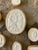 Antique White Antique Italian Grand Tour Plaster Intaglios - Set of 7 (Group #7) For Sale - Image 8 of 12