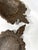 Large South East Asian Ceremonial Hand Carved Wood Bowls / Dishes, a Pair (Dayak - Borneo) For Sale - Image 10 of 12