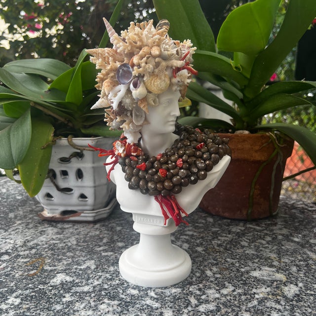 CSS Seashell Apollo Bust For Sale In West Palm - Image 6 of 6