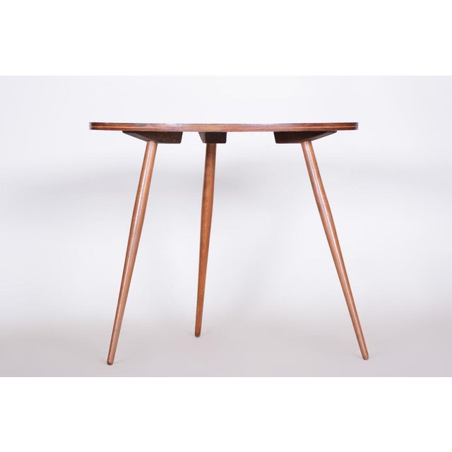 Mid-Century Small Table in Beech and Umakart, Czech, 1950s, in Very Good conditions. Designed 1950 to 1959