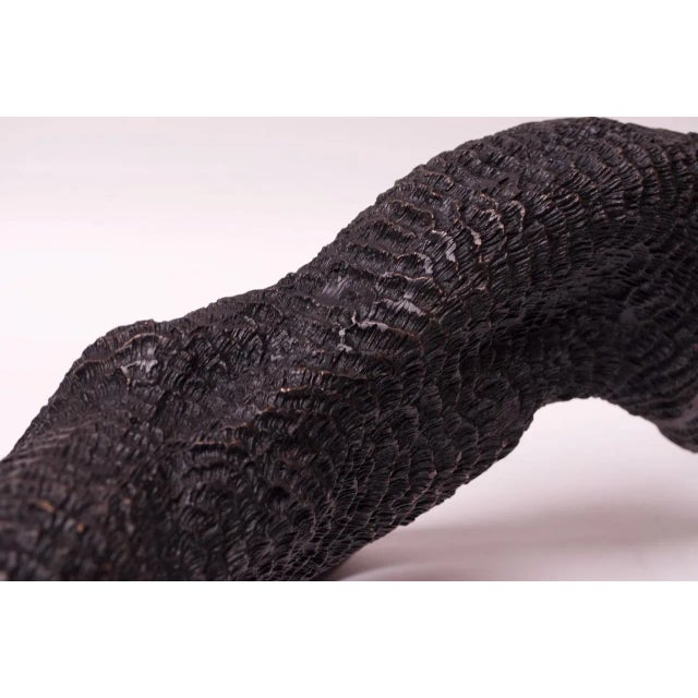 French Bronze Black Panther Sculpture For Sale In New York - Image 6 of 13