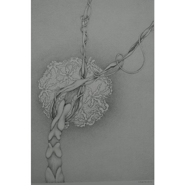 Gochka Charewicz Eclosion (Blooming) Original lithograph Signed in pencil Limited edition of 29 (the number shown in the...