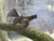 Capercaillie in a Winter Landscape, 1910, Oil Painting on Canvas, Framed For Sale - Image 6 of 16