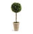 English Boxwood Single Ball Topiary from Kenneth Ludwig Chicago For Sale - Image 3 of 3