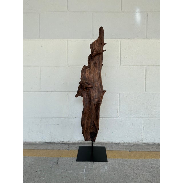 Contemporary Arteriors Organic Modern Natural Teak Kazu Sculpture For Sale - Image 3 of 4