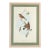 1940 Red-Breasted Flycatcher Bird Lithograph After John Gould | Matted & Framed For Sale