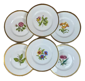 Vintage Hand Painted Royal Worcester Floral Dinner Plates - Set of 6