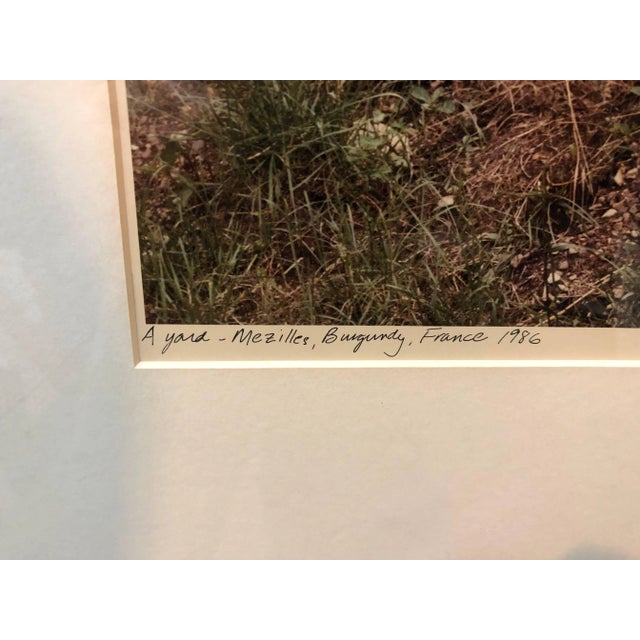 American Frank Gohlke, A Yard, Mezilles Burgundy France. Field Of Flowers 1986 Vintage Color Photograph, 1986 For Sale - Image 3 of 5