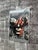 1980s Vintage 1980s "The Infernal Machine" PLay Original Promotional Poster Authographed by Maggie Smith. For Sale - Image 5 of 15