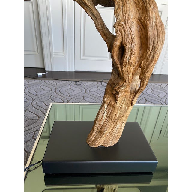 Vintage 1960s Driftwood Lamps (Pair) For Sale - Image 11 of 12