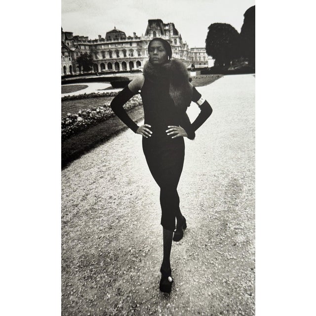 The Best of HELMUT NEWTON 洋書 The Best of Helmut Newton by Zdenek Felix | Chairish