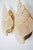 Golden Jewel Water Snail Wall Lights, 1960s, Set of 2 For Sale - Image 12 of 18
