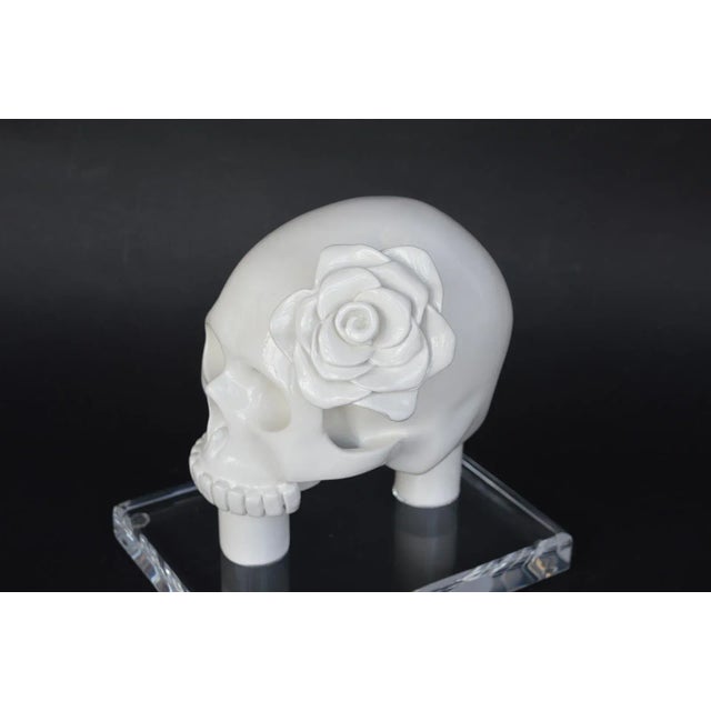 Modern White Resin Skull For Sale - Image 3 of 8