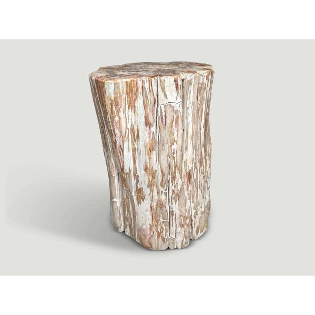 Andrianna Shamaris Coral Toned Ancient Petrified Wood Side Table For Sale - Image 4 of 5