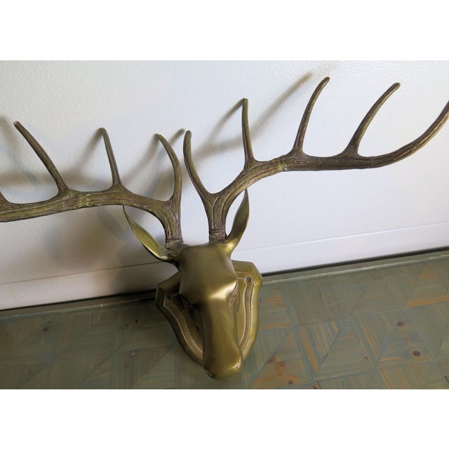 Brass 5 Point Deer Head Sculpture Created to Resemble Realistic Anatomy For Sale In Boise - Image 6 of 6
