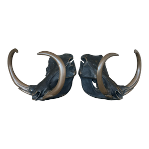 Restoration Hardware Bull's Heads- a Pair