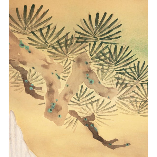 Goldenrod Nishii Shōdō "White Hawk on a Pine Tree", Late Meiji to Early Showa Large Scroll Painting For Sale - Image 8 of 18