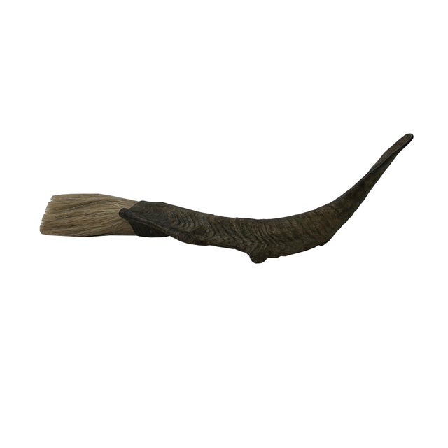 2000 - 2009 15" Rustic Natural Artistic Horn Shape Brush Accent Display For Sale - Image 5 of 7