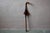 This antique hunting walking stick-seat is one of those rare objects that have stood the test of time without losing their...