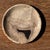 Circular Bowl in Beige Petrified Wood with Black Spots, 1980s For Sale - Image 9 of 9